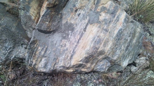 Гигантские зелёные валуны для ландшафтного дизайна весом более 5 тонн купить в Стерлитамаке