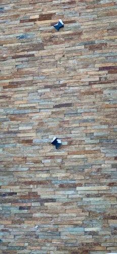 пилёная плитка кора дерева